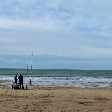 D'hotes Sous La Canopee