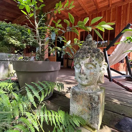 住宿加早餐酒店 D'hotes Sous La Canopee 3*