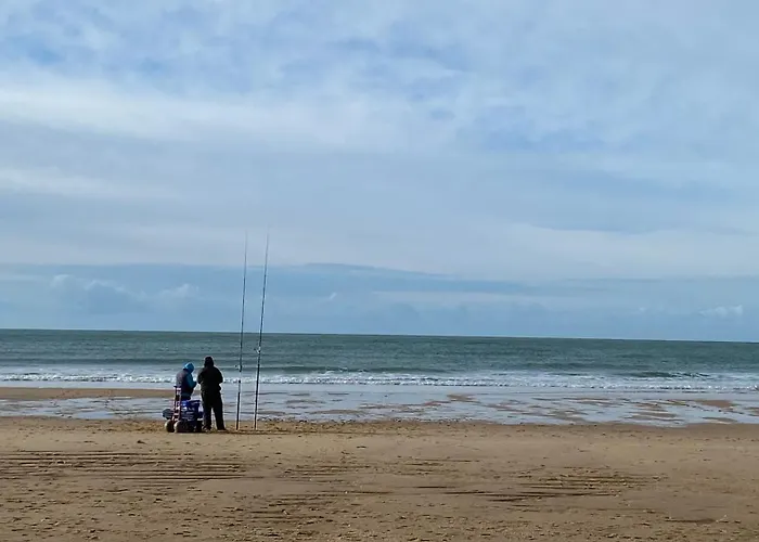 D'hotes Sous La Canopee