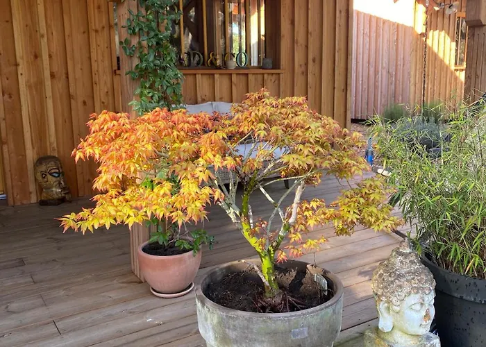D'hotes Sous La Canopee Oda ve Kahvaltı Lanton