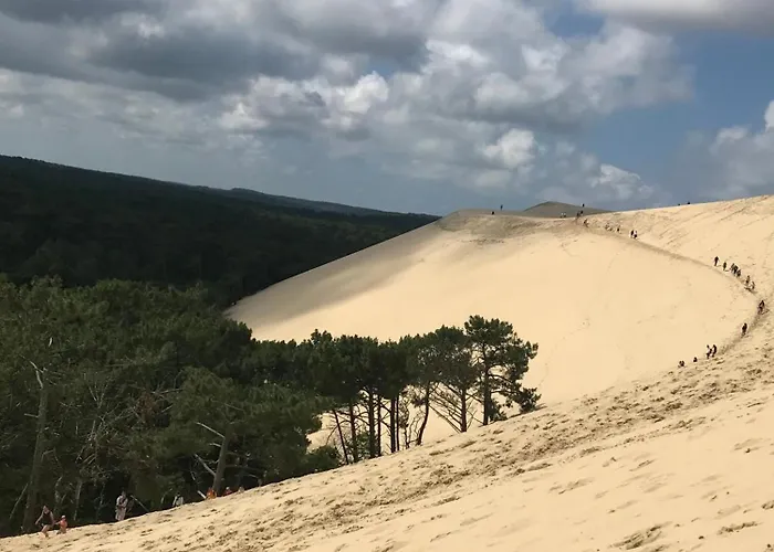 D'hotes Sous La Canopee 3*