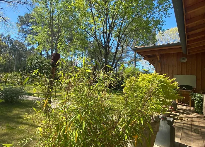 D'hotes Sous La Canopee Oda ve Kahvaltı 3*