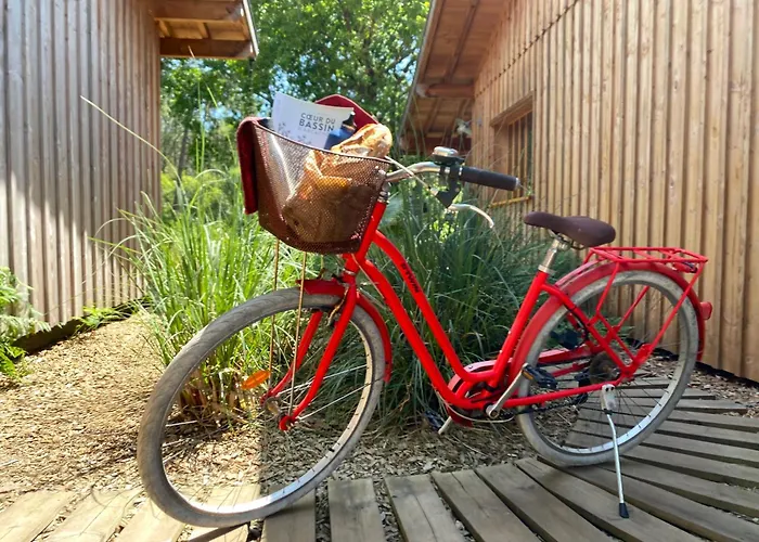 Oda ve Kahvaltı D'hotes Sous La Canopee Lanton