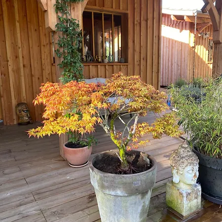 D'hotes Sous La Canopee Bed & Breakfast Lanton