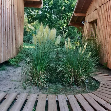 D'hotes Sous La Canopee Bed and Breakfast
