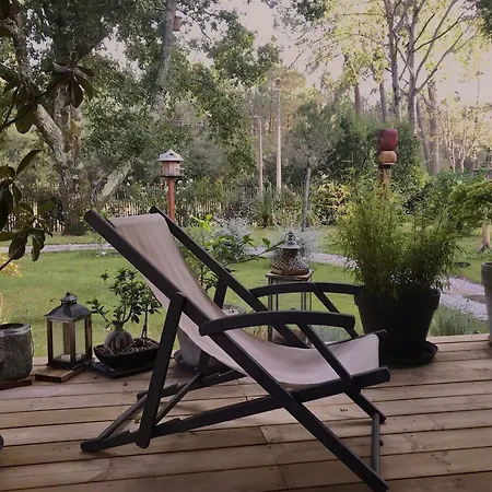 Bed and Breakfast D'hotes Sous La Canopee