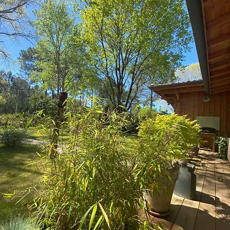 D'hotes Sous La Canopee Bed & Breakfast *