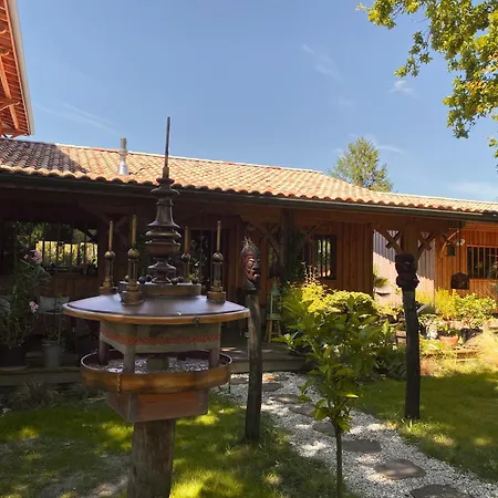 D'hotes Sous La Canopee Bed & Breakfast