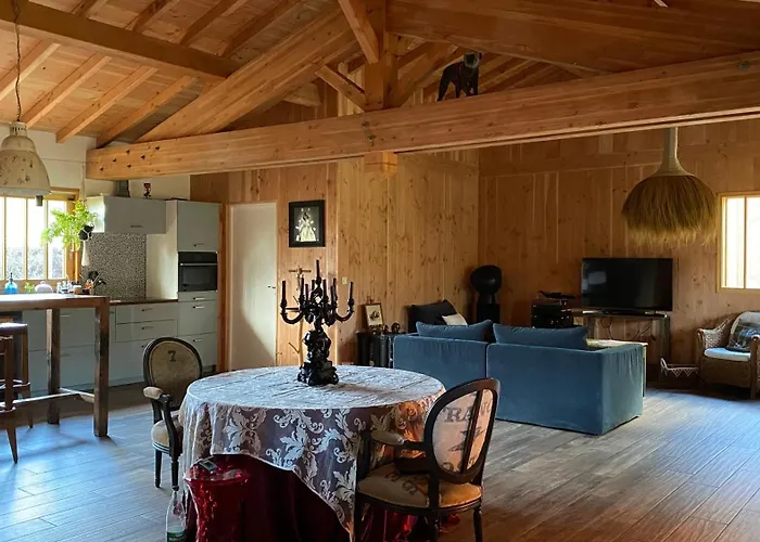 D'hotes Sous La Canopee